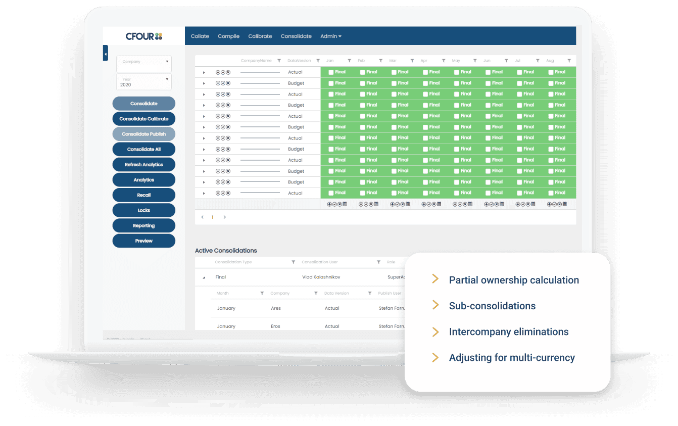 A screenshot of consolidated financial reporting software from a user view.